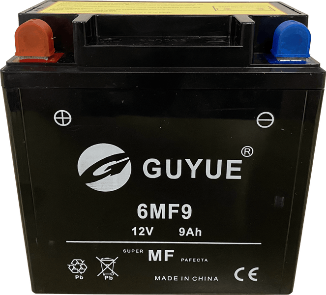 Electric Start Replacement Battery – 12V 9Ah (6MF9) - QVTools - Power King